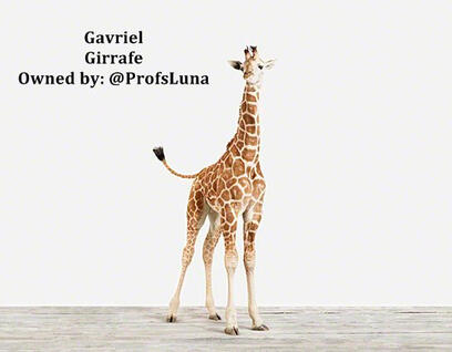 Gavriel