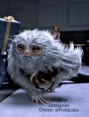 Willow